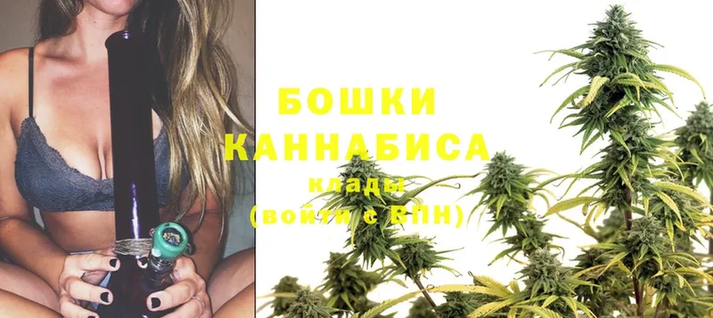 Каннабис OG Kush  Казань 